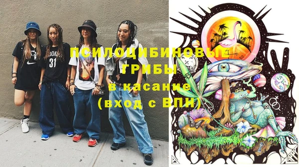 PSILOCYBIN Абдулино