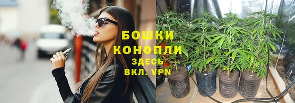PSILOCYBIN Абдулино