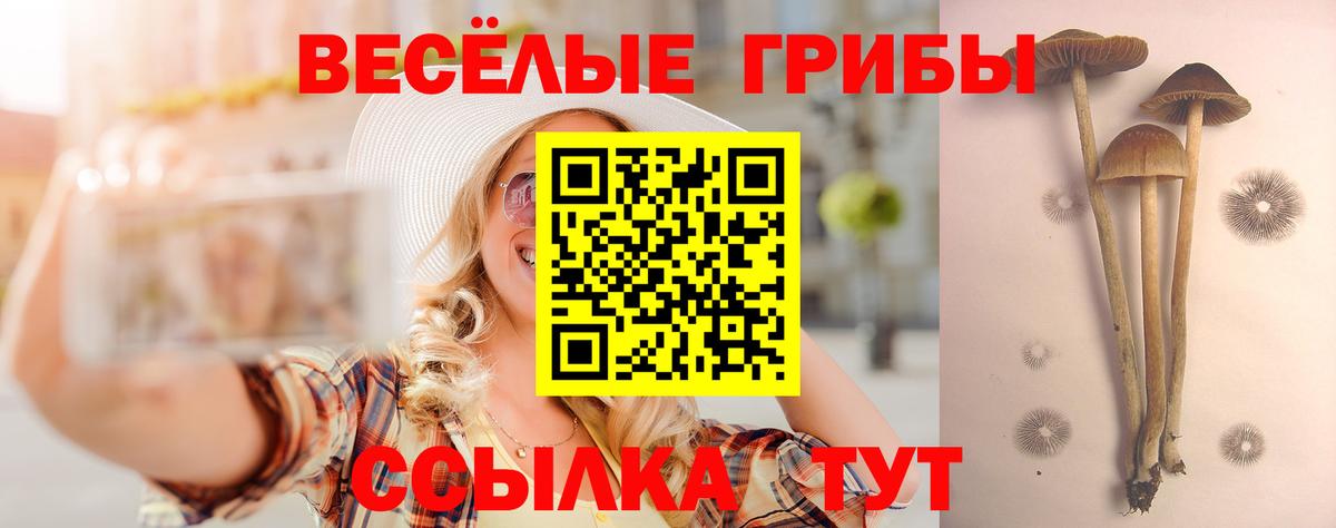 Галлюциногенные грибы Psilocybine cubensis  Вход с VPN  Тюмень 